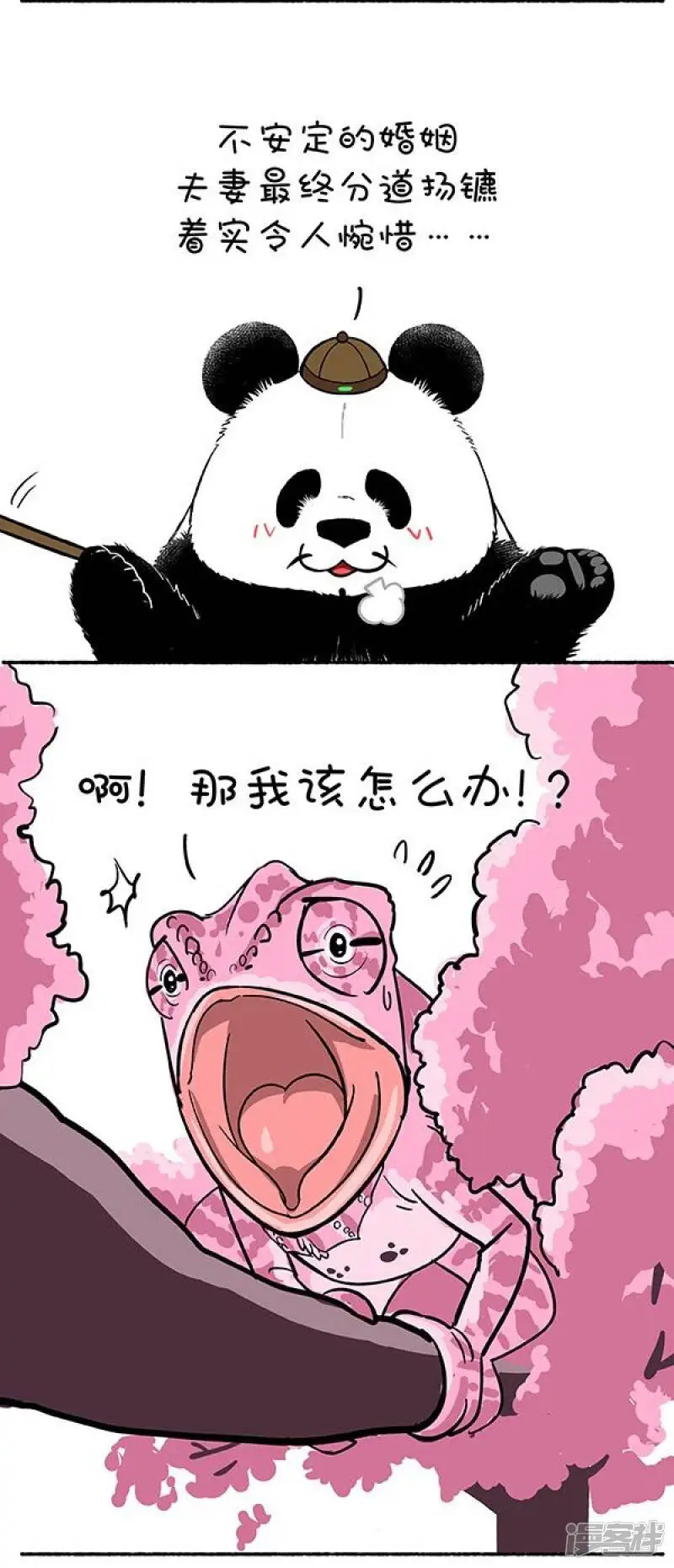 快把动物放进冰箱漫画,132奇大师不框你之爱到白头2图