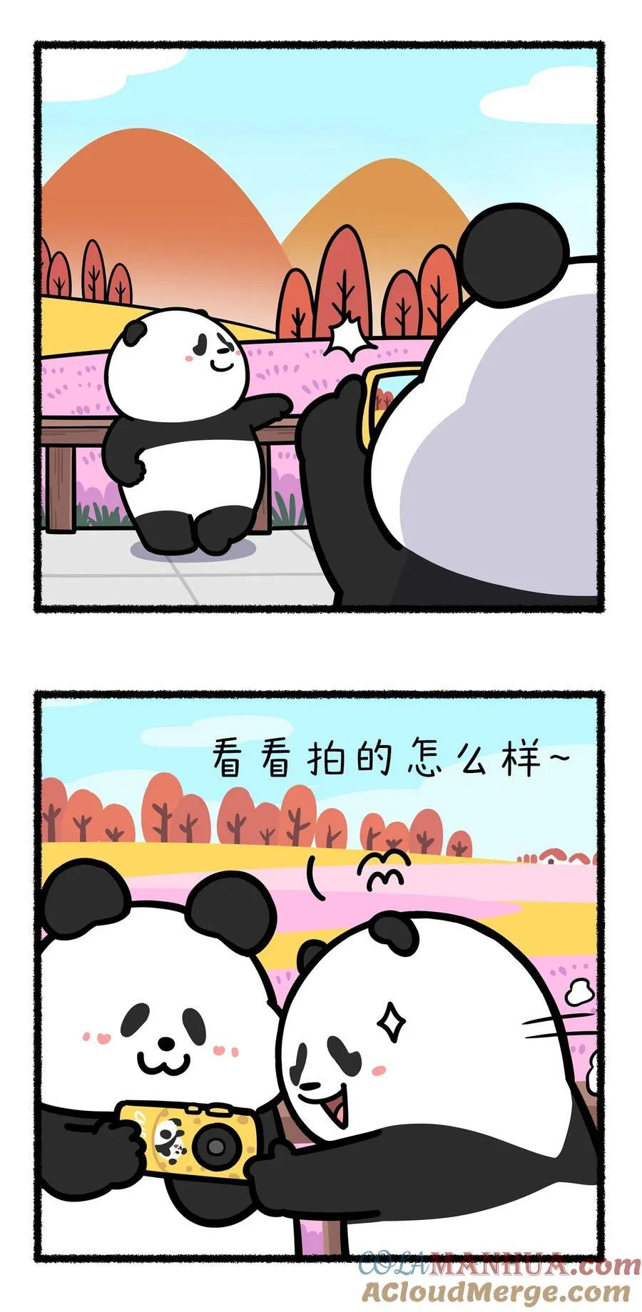 快把动物放进冰箱二十四节气壁纸漫画,418 金秋十月的美景下，有多少错付的感情~2图