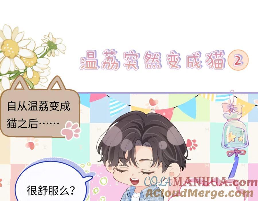 顶流夫妇有点甜全文免费阅读笔趣阁晋江漫画,第10期 小剧场：三力变猫2（日更中）2图