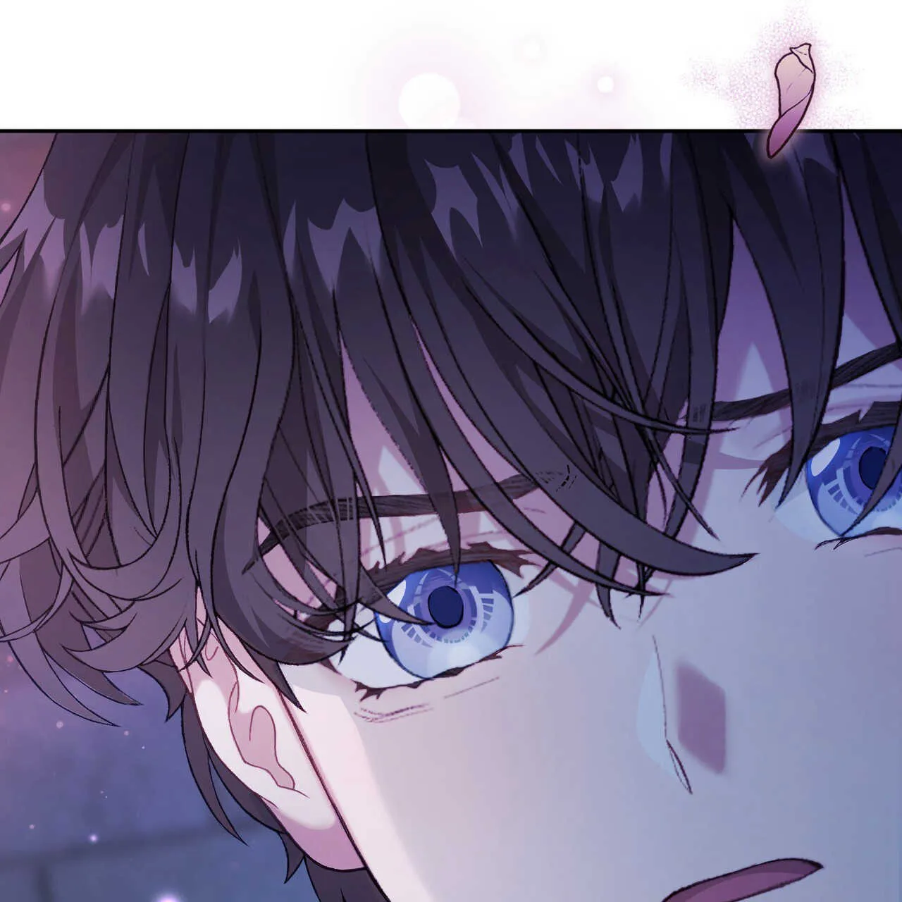 精灵小姐，请和我签订契约吧漫画,第17话1图