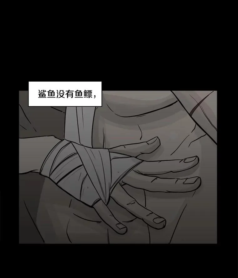 鲨鱼的英语怎么说漫画,0.鲨鱼2图