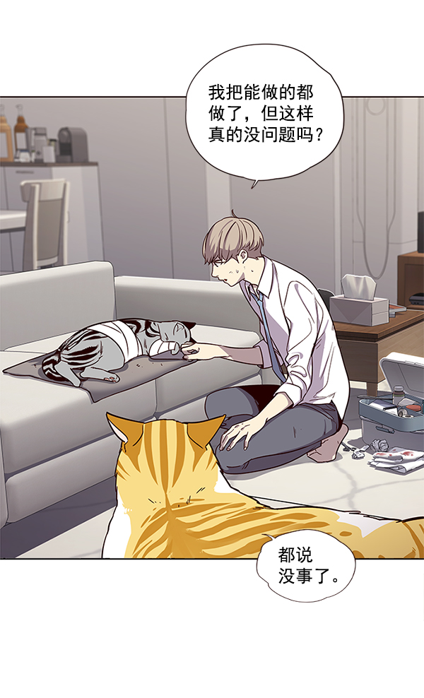 觉醒吧铲屎官漫画免费观看180话漫画,第4话2图