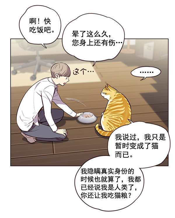觉醒吧铲屎官335漫画,第2话2图