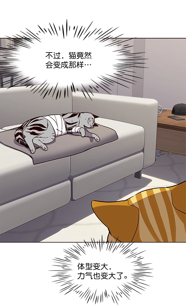 觉醒吧铲屎官漫画免费观看180话漫画,第4话2图