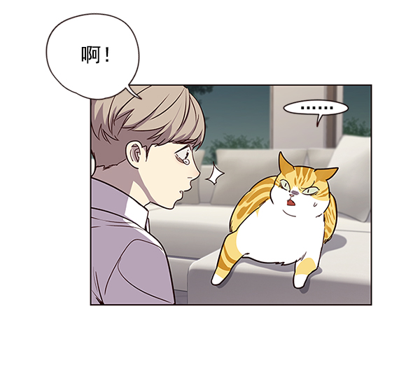觉醒吧铲屎官漫画免费观看180话漫画,第4话2图