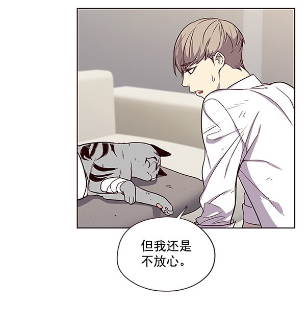 觉醒吧铲屎官漫画免费观看180话漫画,第4话1图