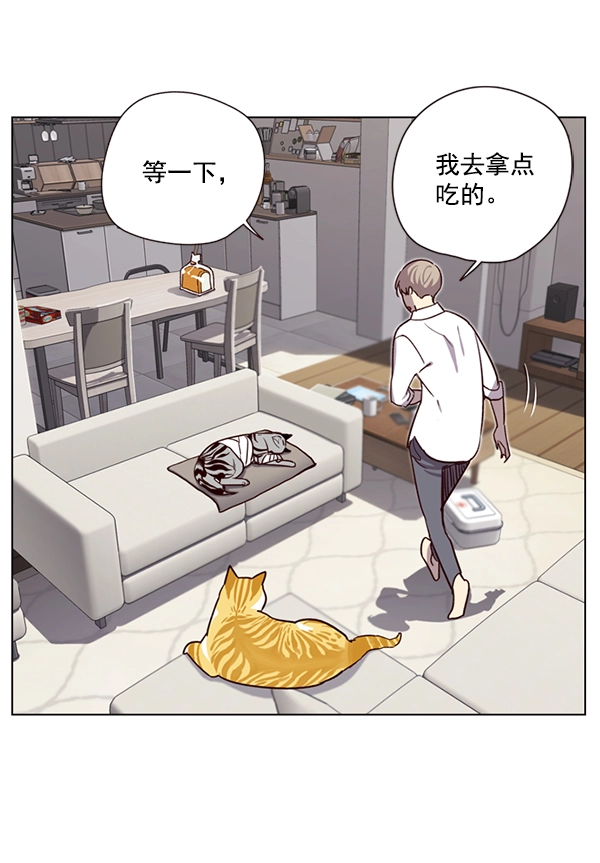 觉醒吧铲屎官漫画免费观看180话漫画,第4话1图