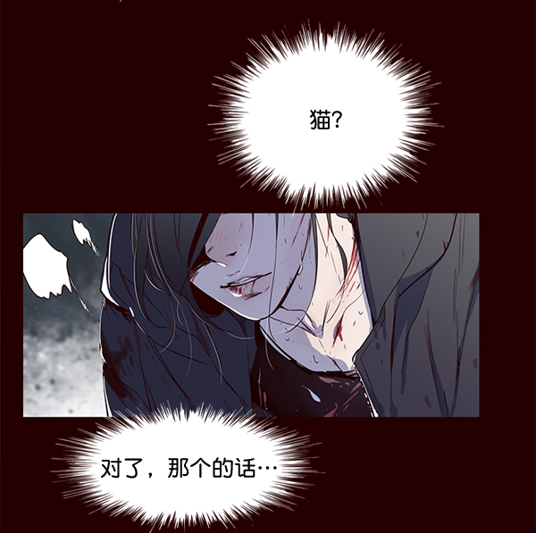 觉醒吧铲屎官274集免费观看漫画,第1话2图