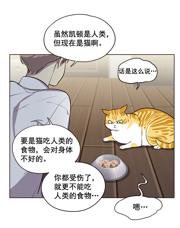 觉醒吧铲屎官335漫画,第2话1图