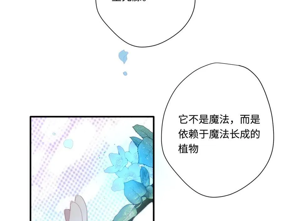 转生魔女养成了圣殿骑士27漫画,第十三话 尼尔丝老师？2图