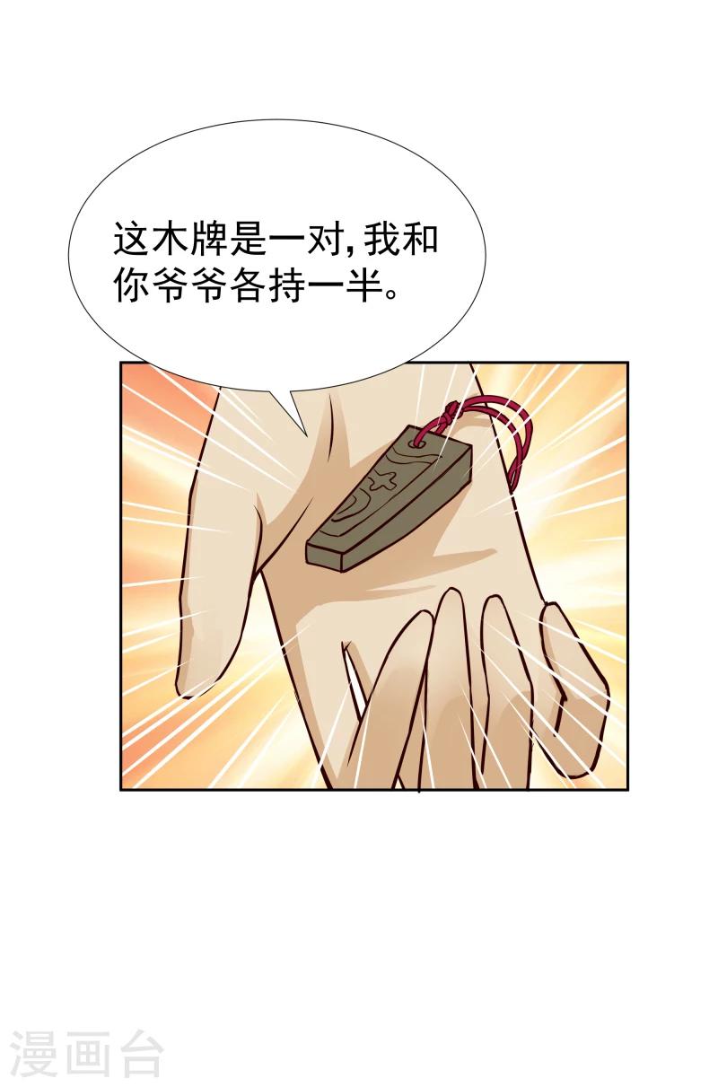 邪王的绝世毒妃全集免费观看漫画,第113话 灵物2图