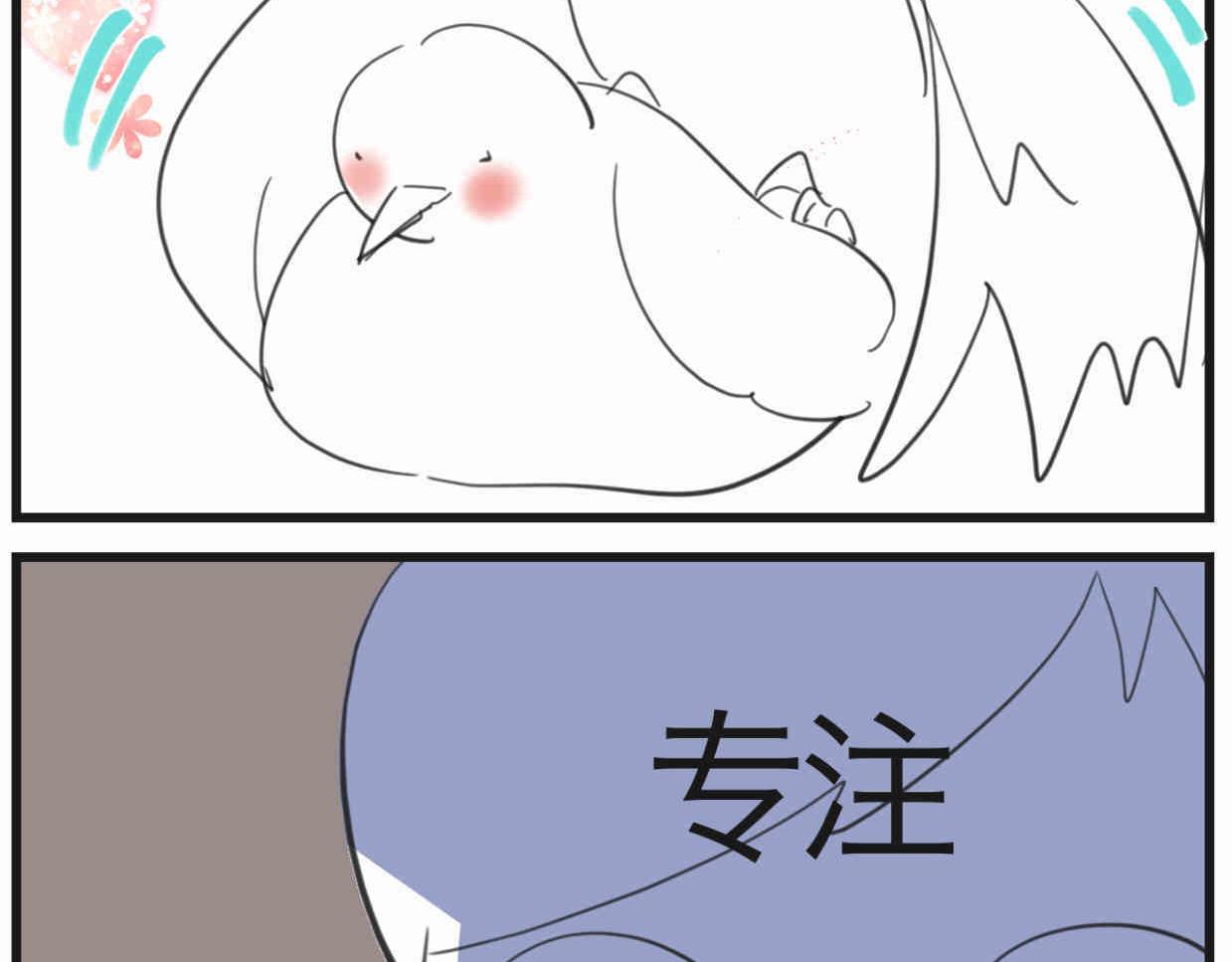 第一次做妈妈漫画,119.小鸡的爱情1图