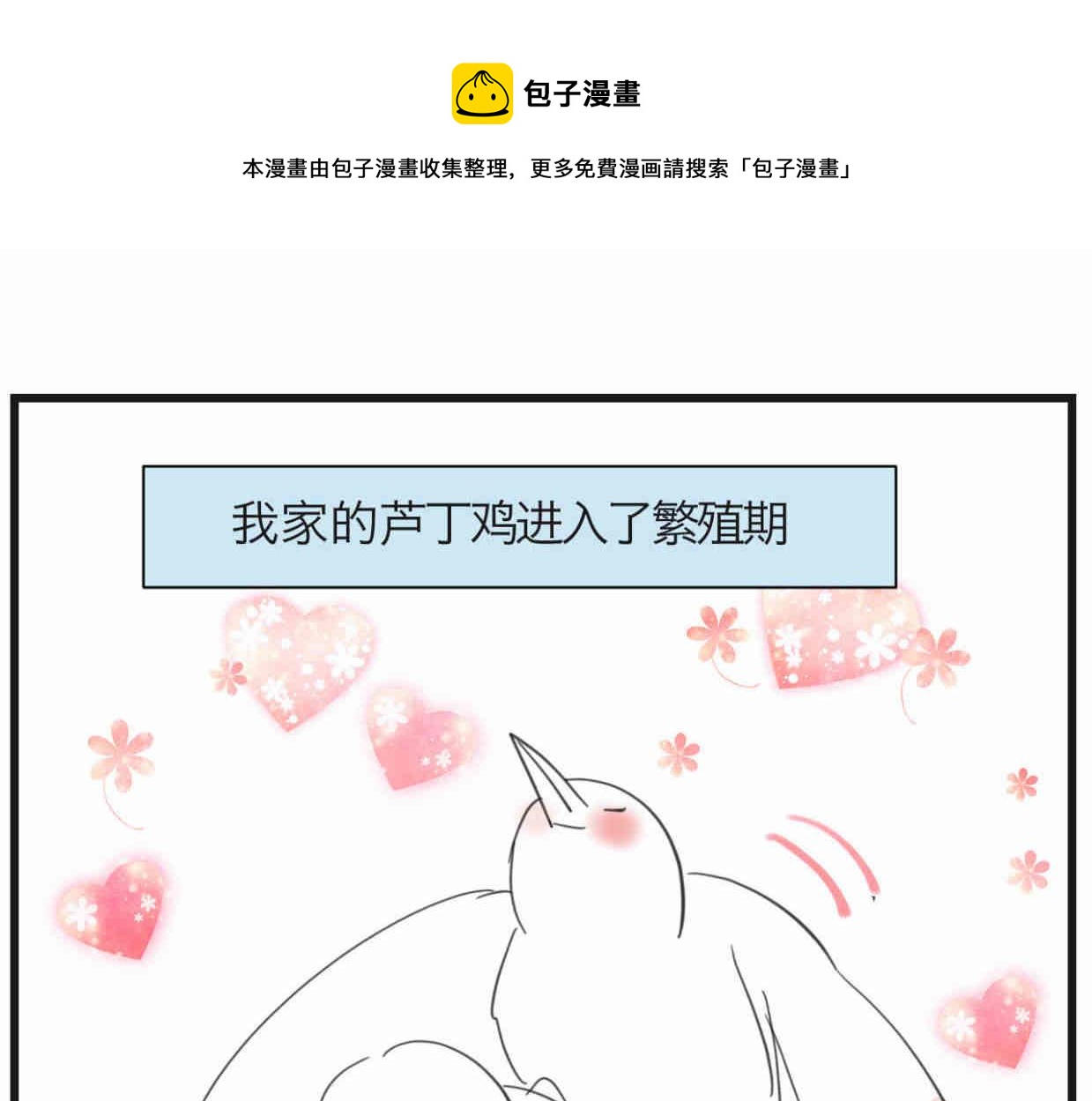 第一次做妈妈漫画,119.小鸡的爱情1图