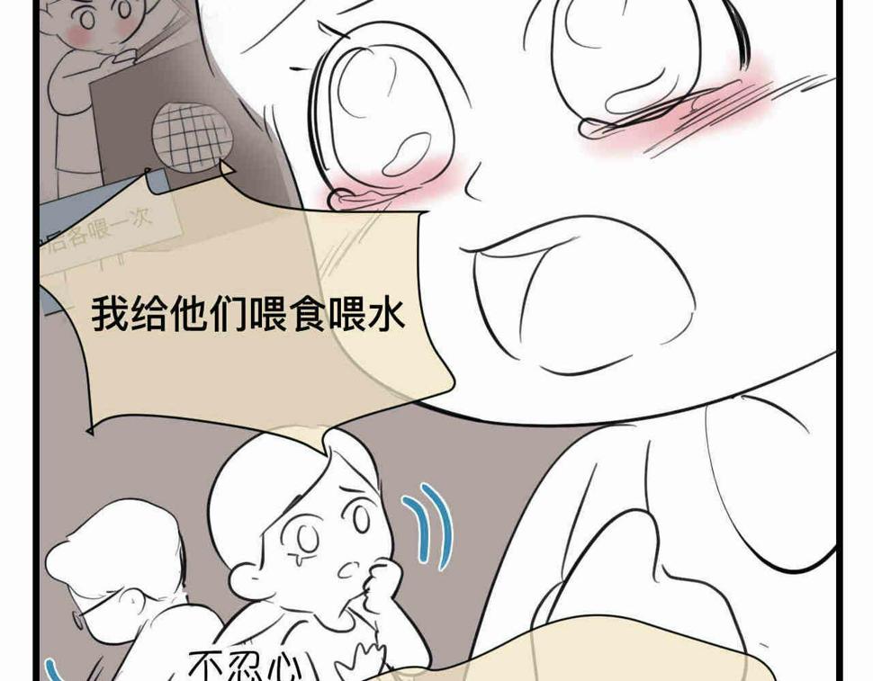 第一次做妈妈作品漫画,98.小鸡的重量2图