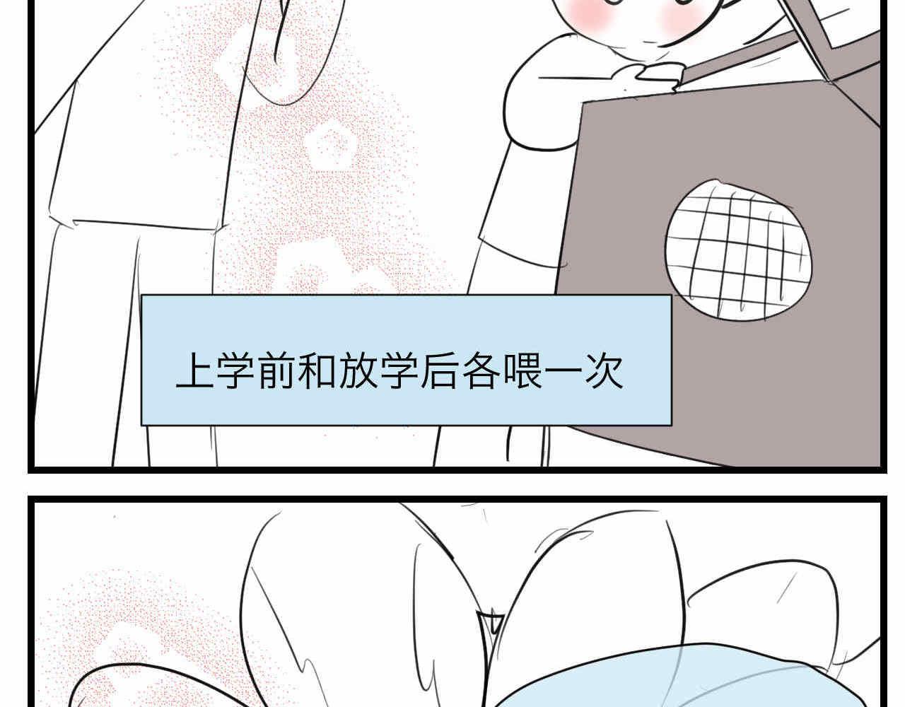 第一次做妈妈漫画,81.网红小鸡1图