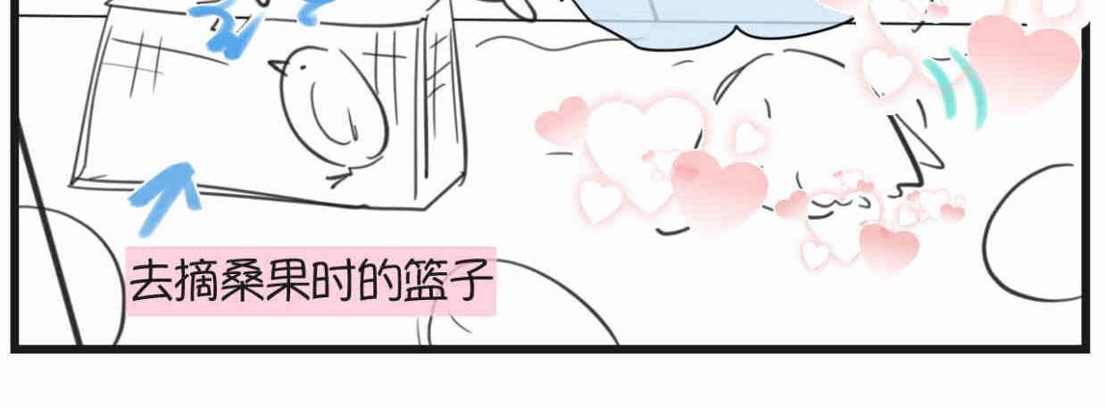 第一次做妈妈漫画,119.小鸡的爱情2图
