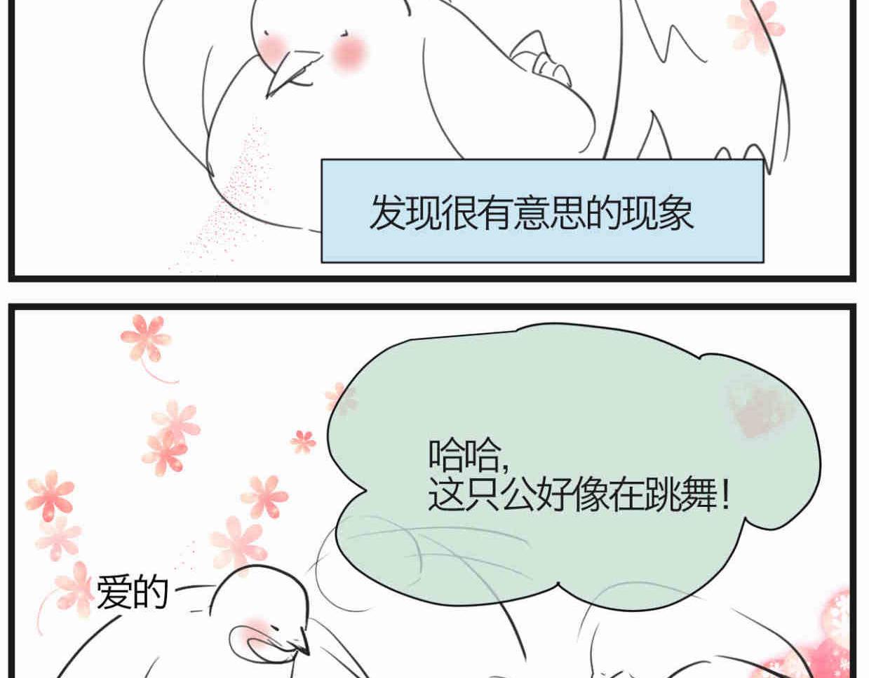 第一次做妈妈漫画,119.小鸡的爱情2图