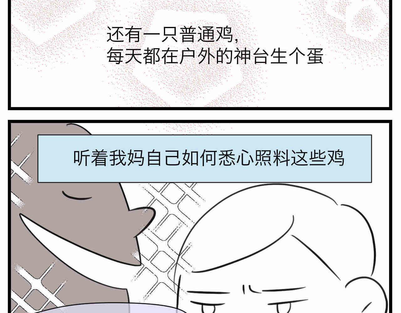 第一次做妈妈漫画,106.外婆的鸡蛋1图