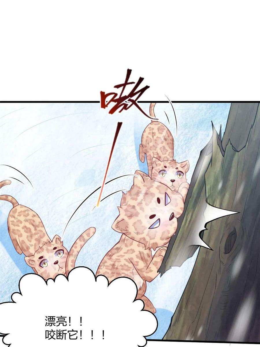 白箐箐的异世界冒险漫画,4432图