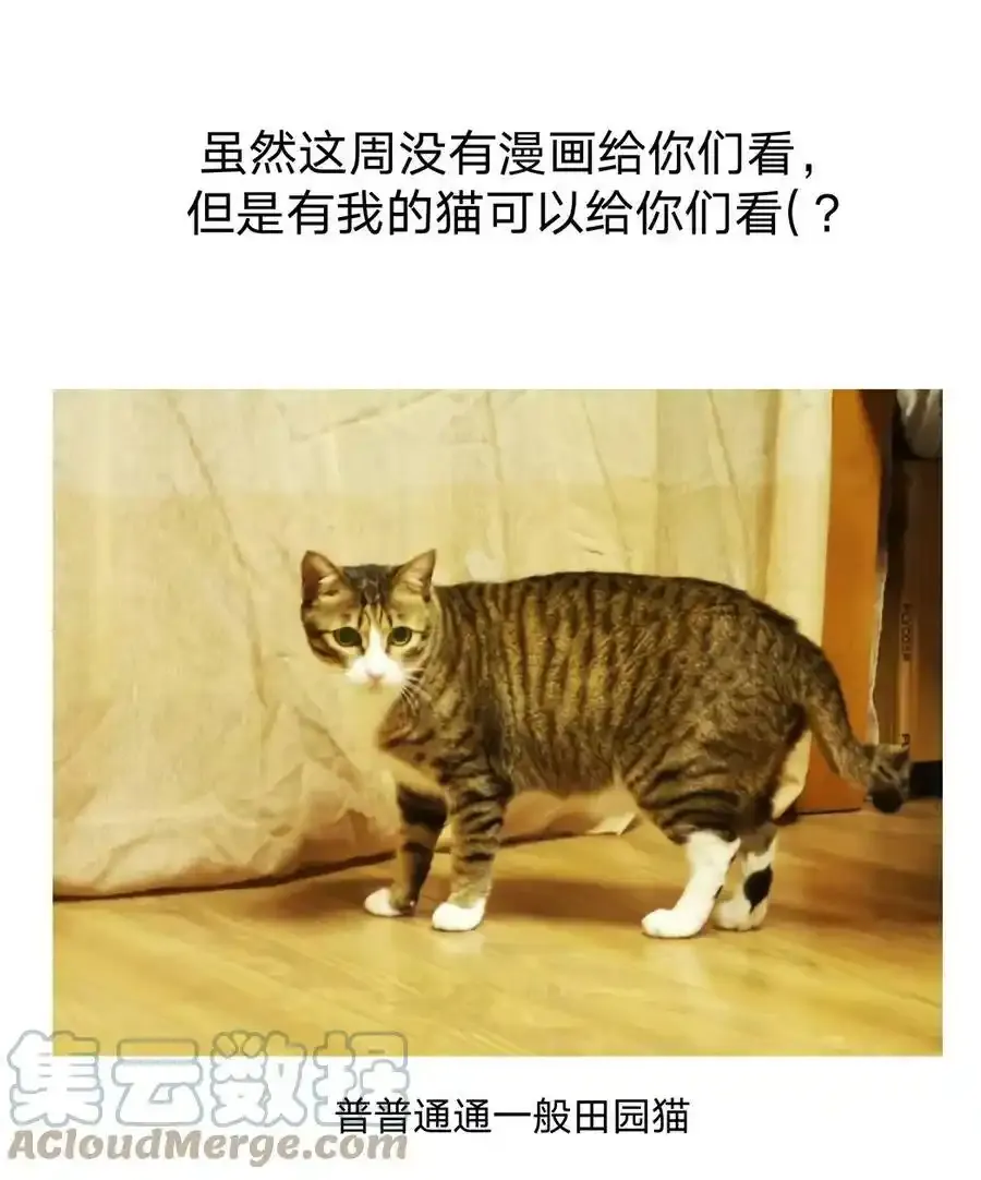 别对我表白全集漫画,猫猫 请假条1图