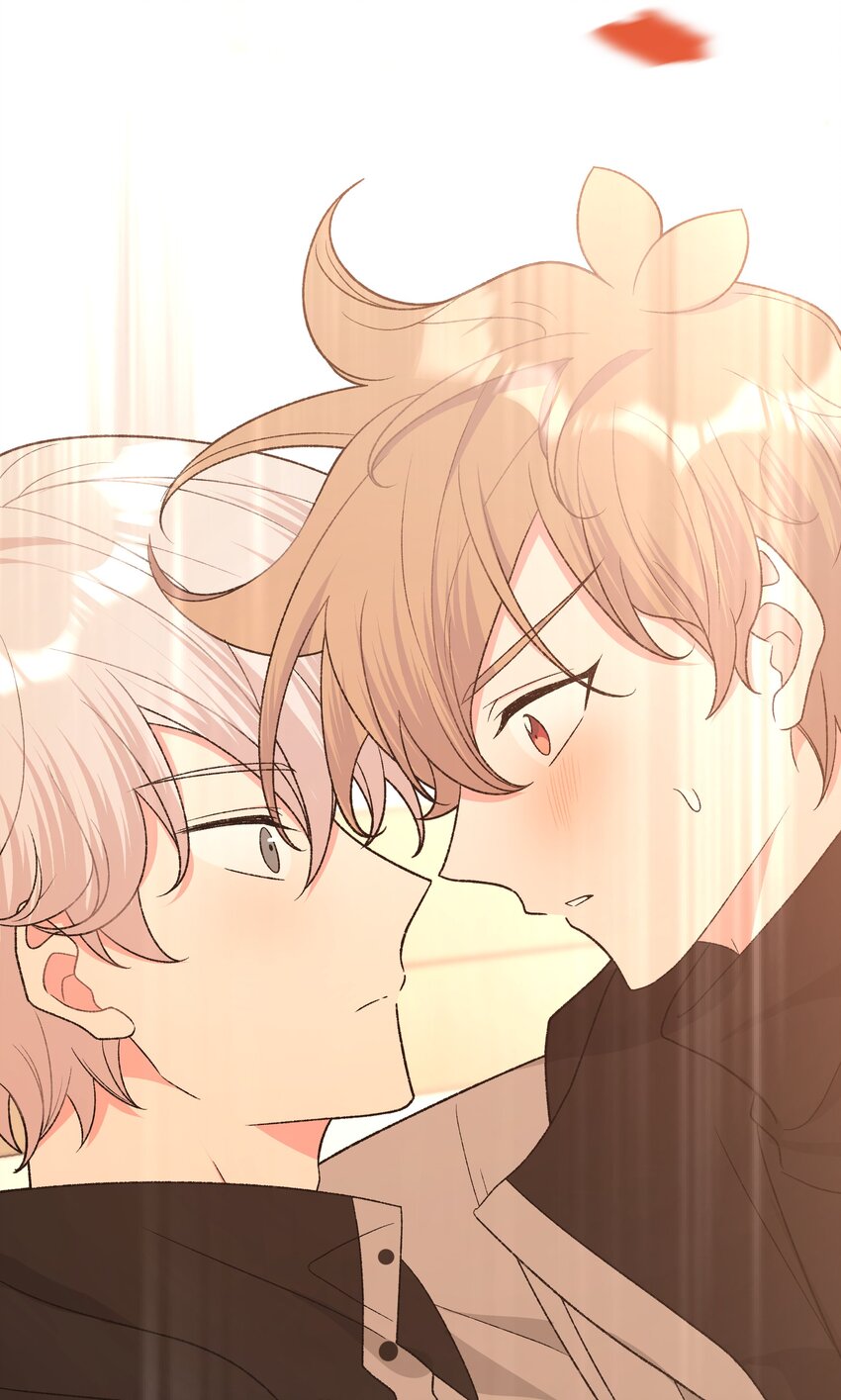 别对我表白漫画奇漫屋漫画,070 壁咚1图