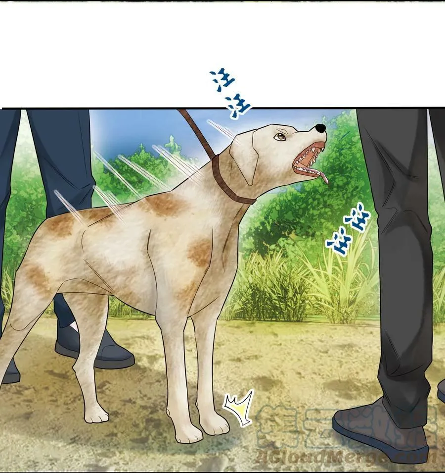 假戏真做 B漫画,013 落雁滩1图