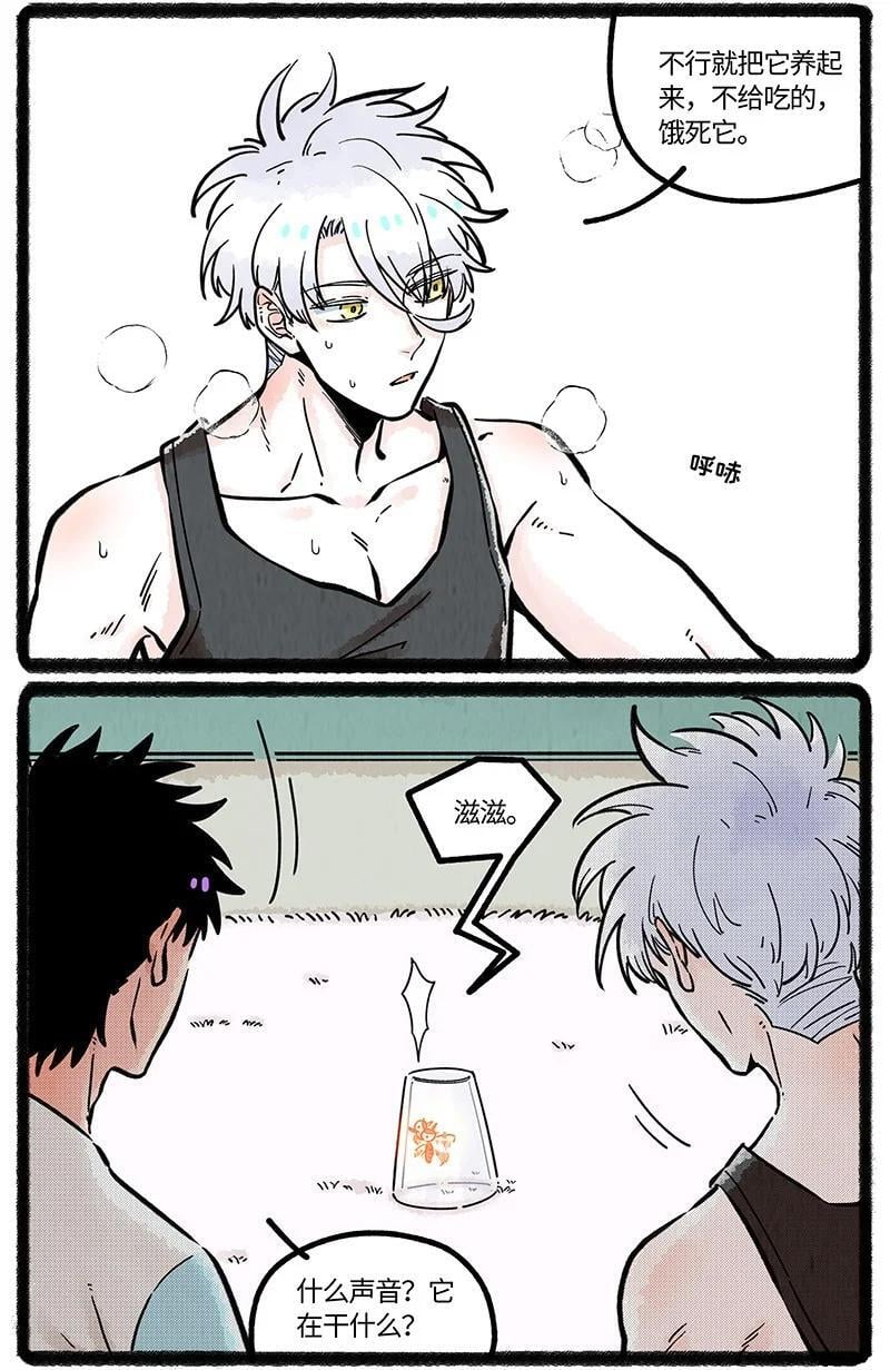 薛定谔读音漫画,064 灭蚊大作战2图