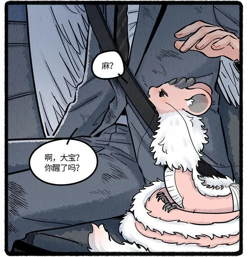 薛定谔之猫有声小说百度云漫画,097 小船的计划2图