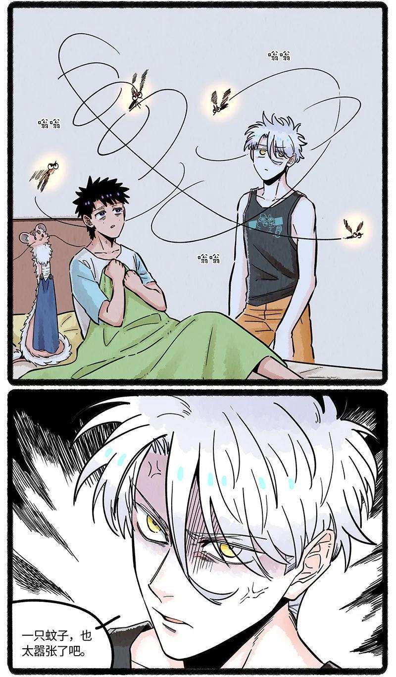 薛定谔读音漫画,063 夏天的烦恼2图