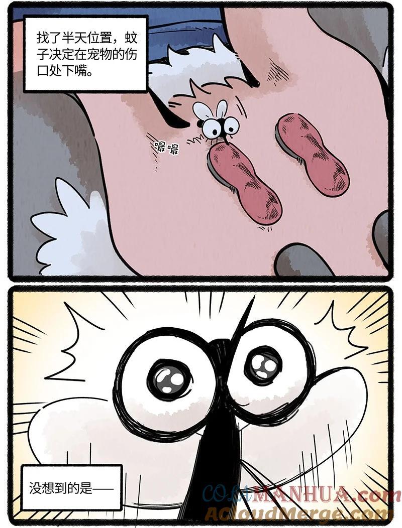 薛定谔读音漫画,063 夏天的烦恼1图