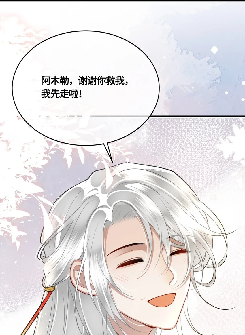 殿下倾城小说解说漫画,031 安全着陆2图