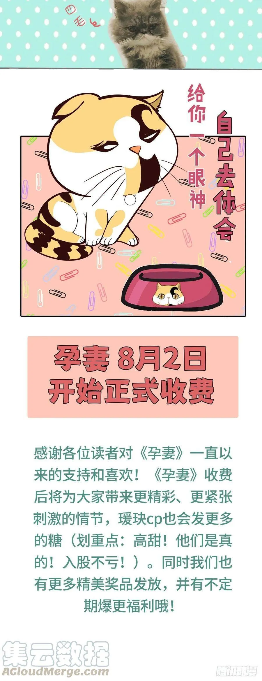 萌宝一加一漫画,付费公告1图