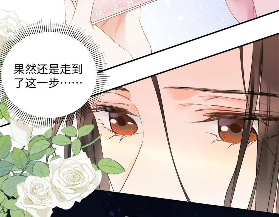 亿万星辰不及你漫画,27 契约结婚1图