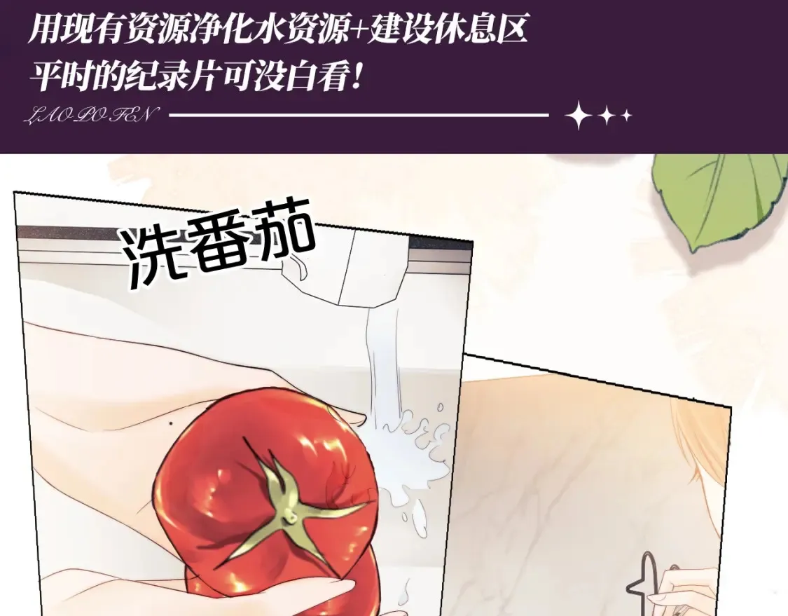 老婆粉了解一下全文免费漫画免费在线看漫画,第57期 整活企划：荒岛求生真人秀上，他们会…1图