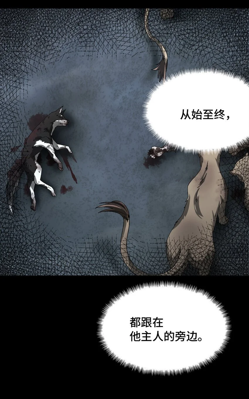 末日拼图游戏漫画免费观看漫画,第50片 怨念真相 其三1图
