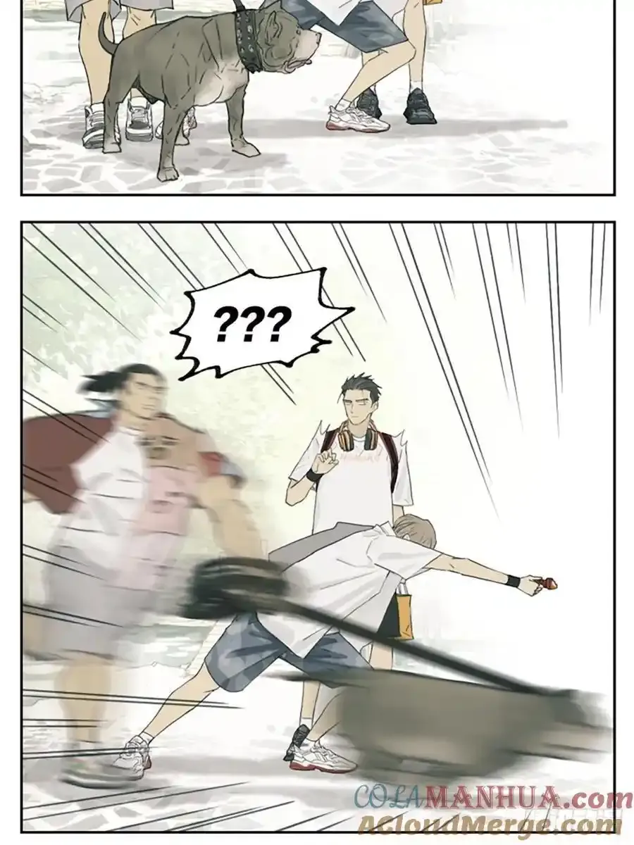 南号尚风为什么不更新了漫画,散步2图