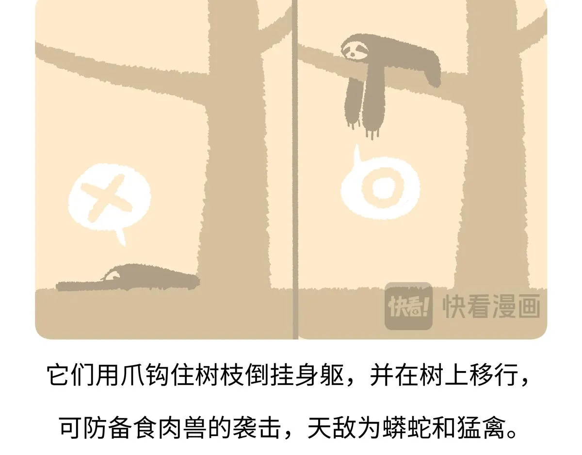 胖达熊猫棒球漫画,第212话1图