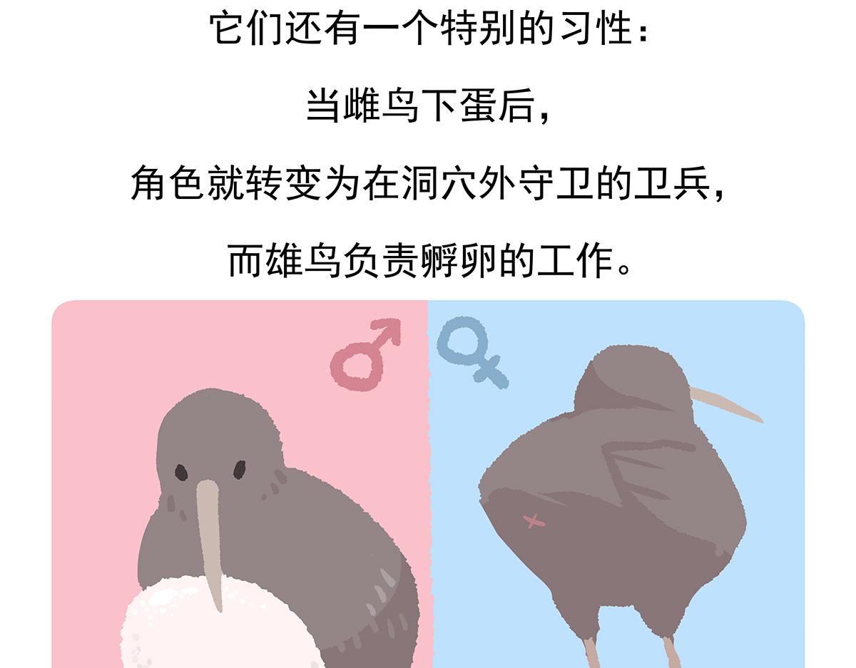 胖达熊猫棒球漫画,第102话2图