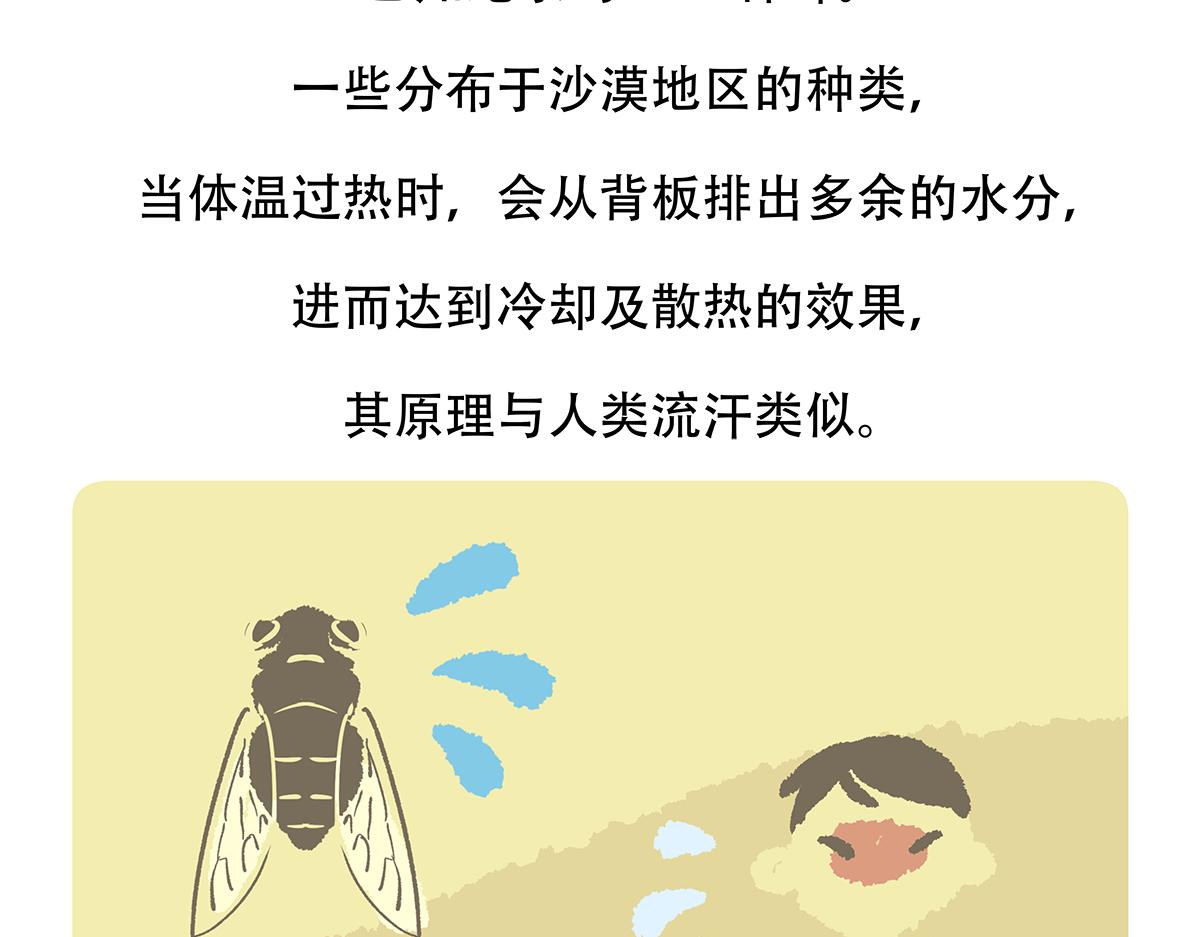 配电箱排地漫画,第134话2图