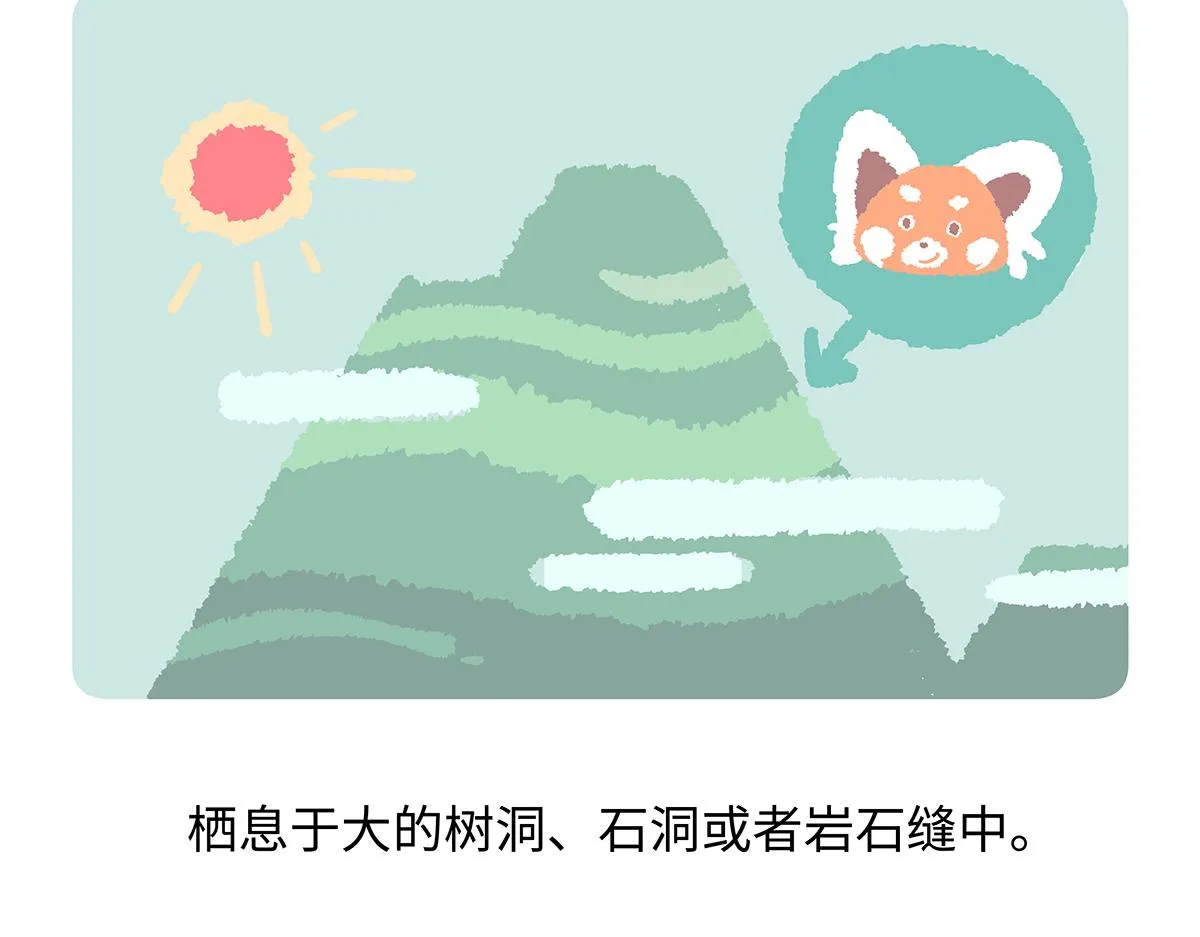 胖达熊猫棒球漫画,第195话2图