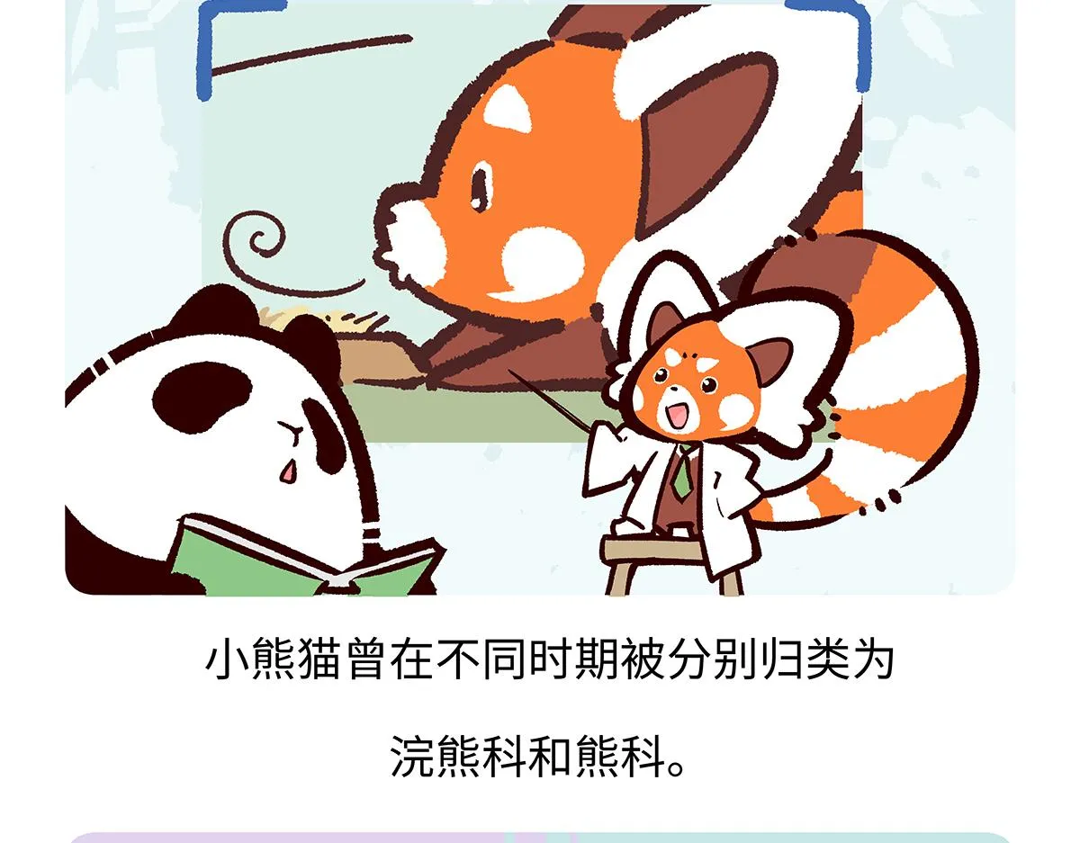 胖达熊猫棒球漫画,第195话1图