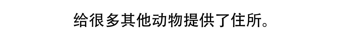 胖达熊猫棒球漫画,第89话1图