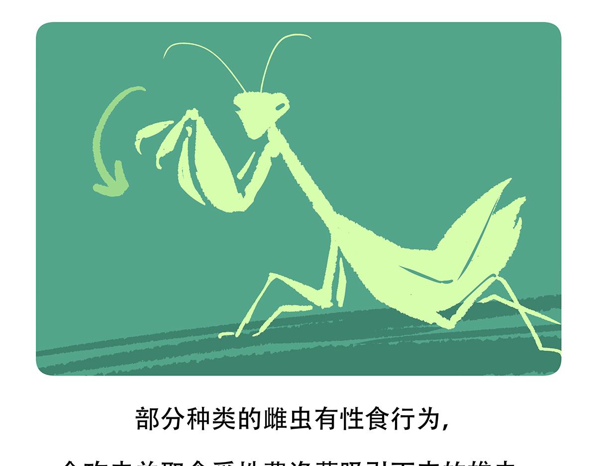胖达熊猫棒球漫画,第133话1图