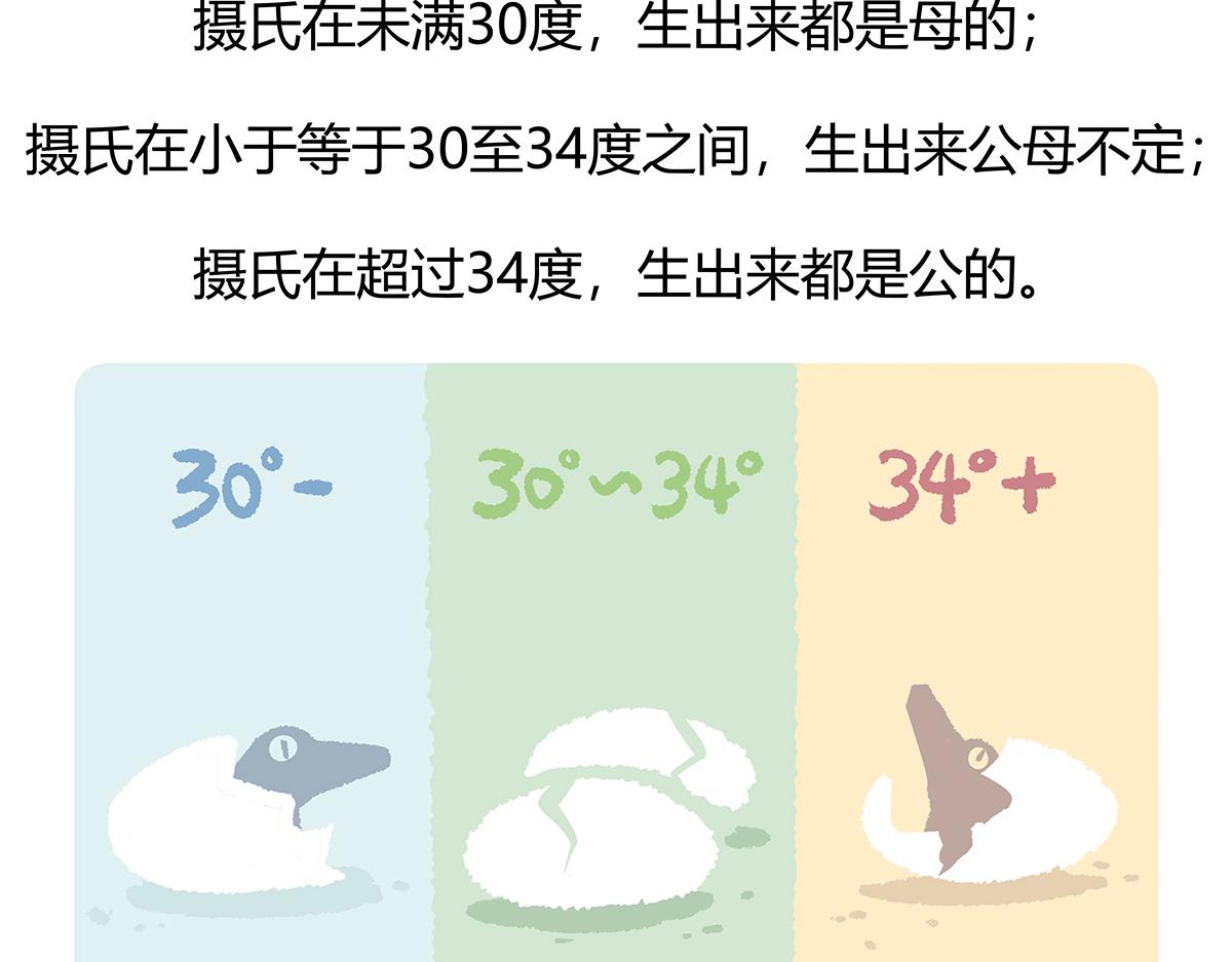 胖达熊猫棒球漫画,第113话2图
