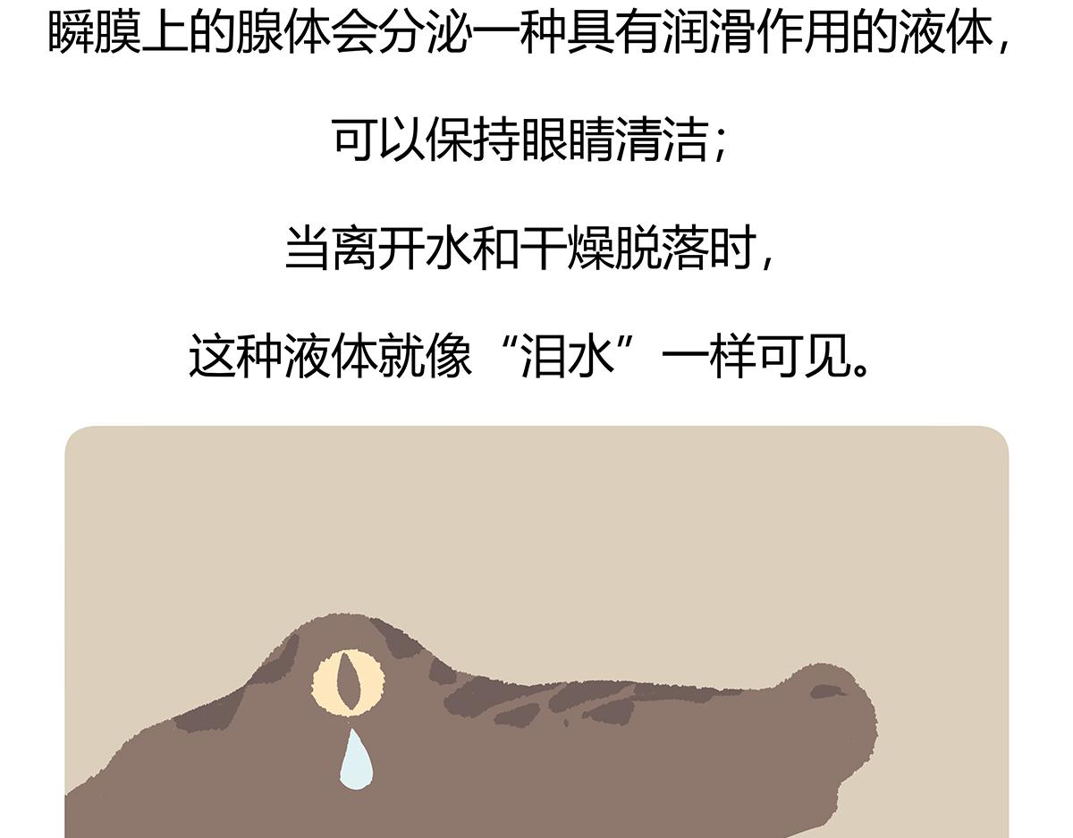 胖达熊猫棒球漫画,第113话1图