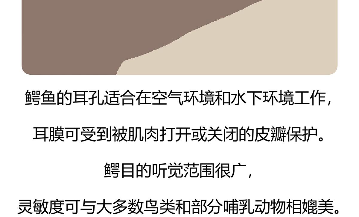 胖达熊猫棒球漫画,第113话2图