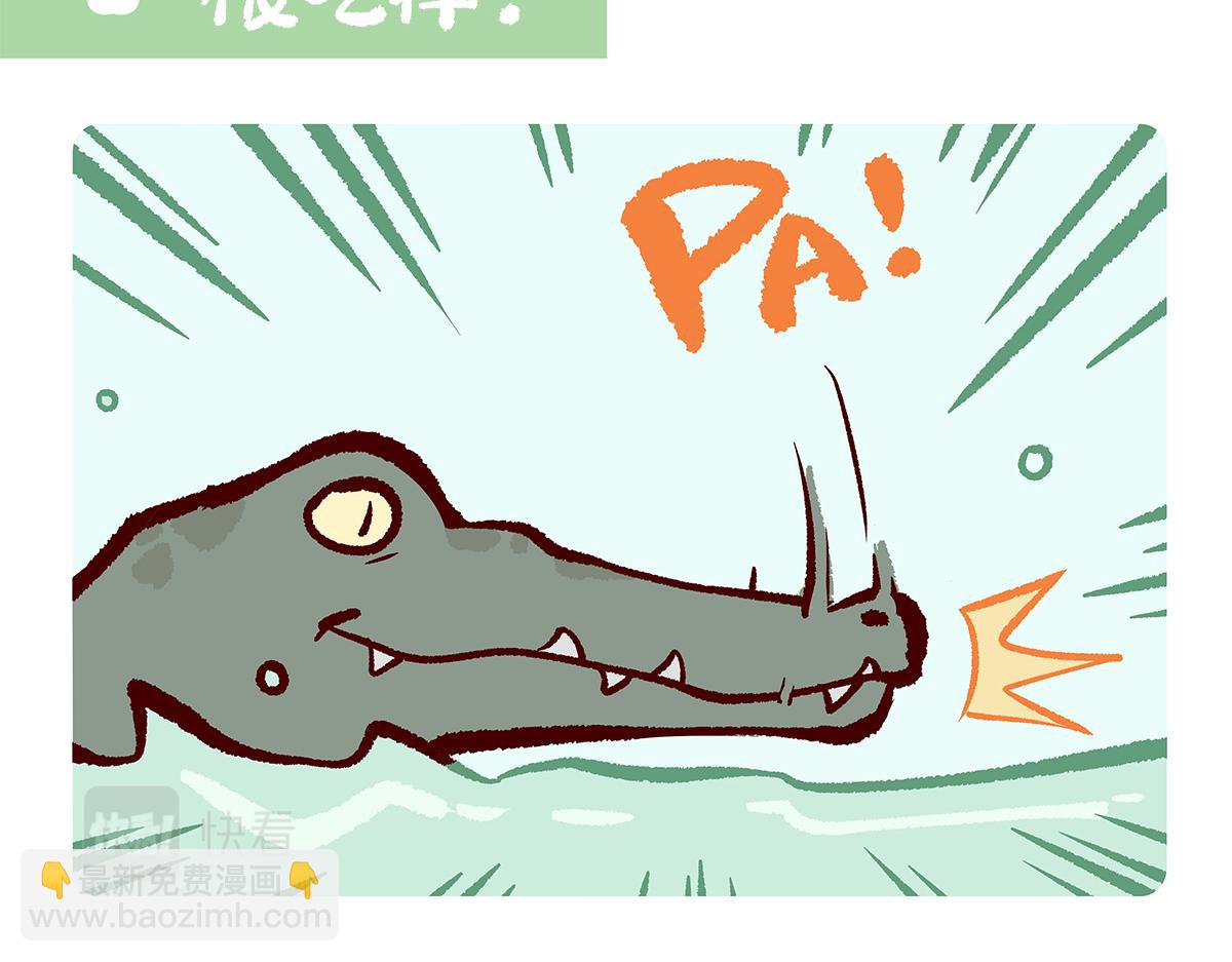 胖达熊猫棒球漫画,第113话2图