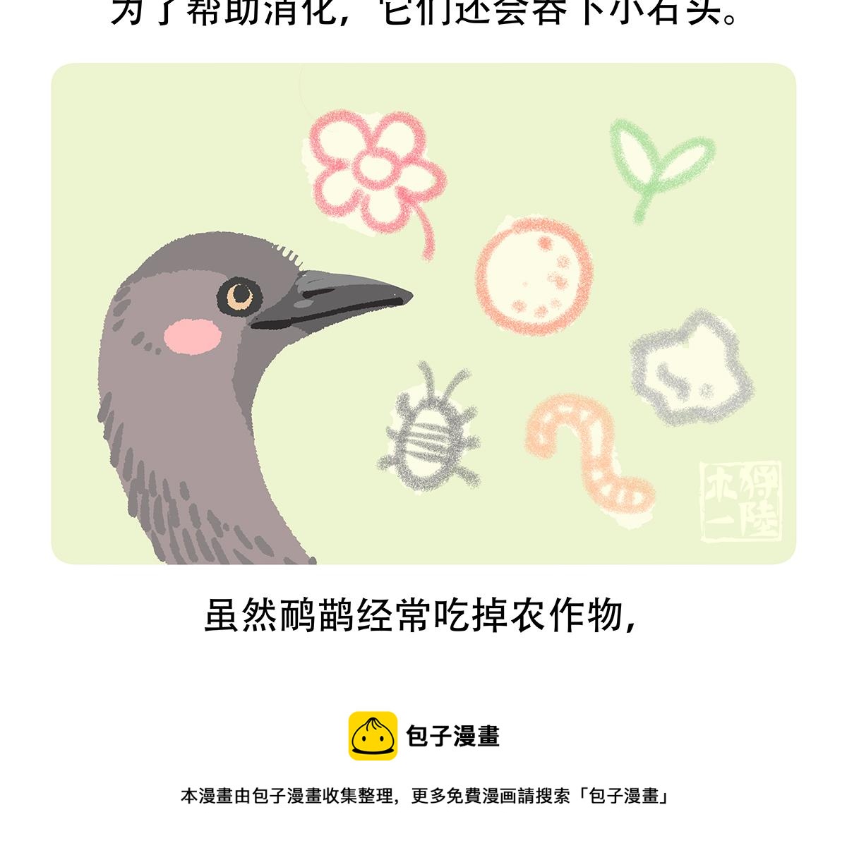 胖达熊猫棒球漫画,第105话1图