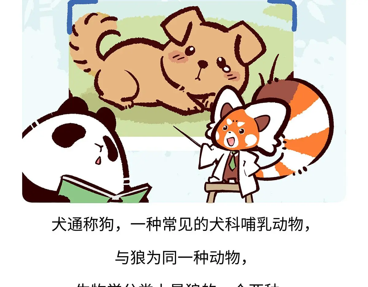 胖达熊猫棒球漫画,第173话2图