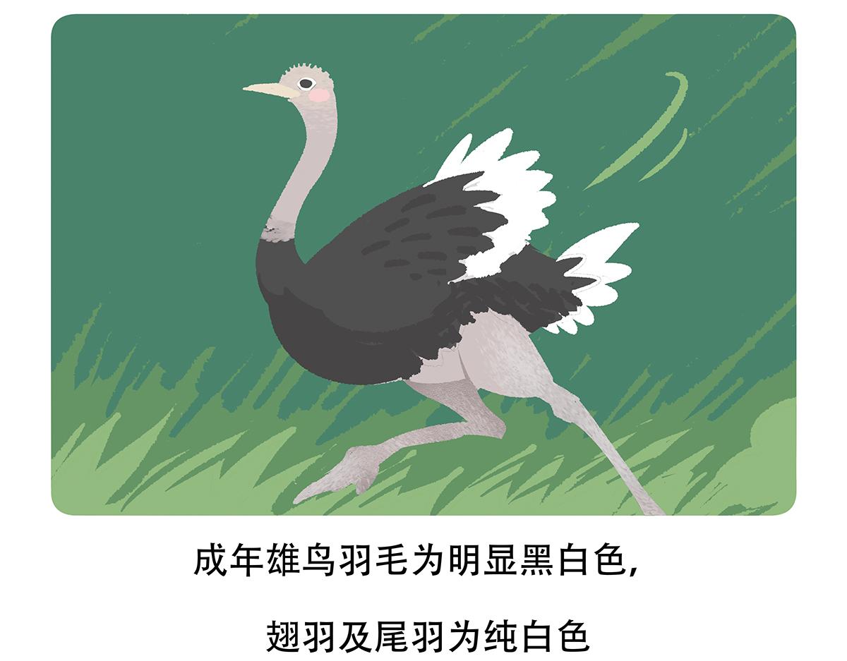 配电箱排地漫画,第103话1图